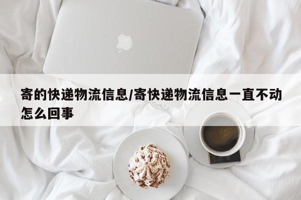 寄的快递物流信息/寄快递物流信息一直不动怎么回事